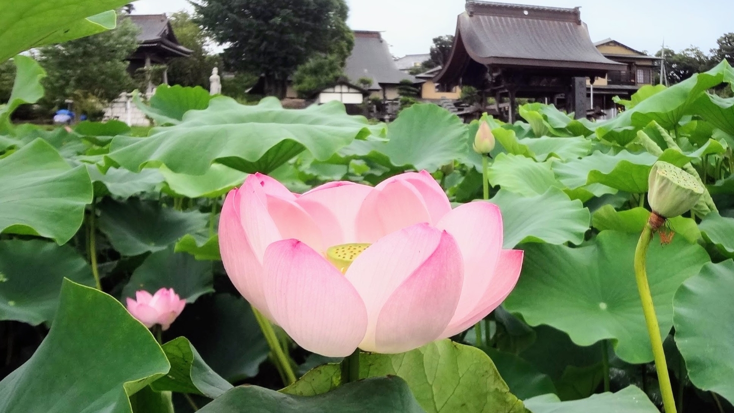 スマホトップ画像